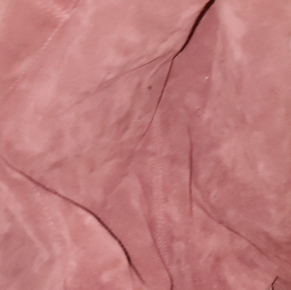 FREE PEOPLE PRE-LOVED JESSA Suede Mulberry SLING BAG. - Picture 3 of 8